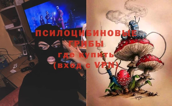 не бодяженный Алзамай