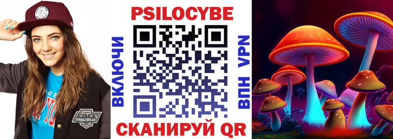 где продают   Щигры  Галлюциногенные грибы мицелий 
